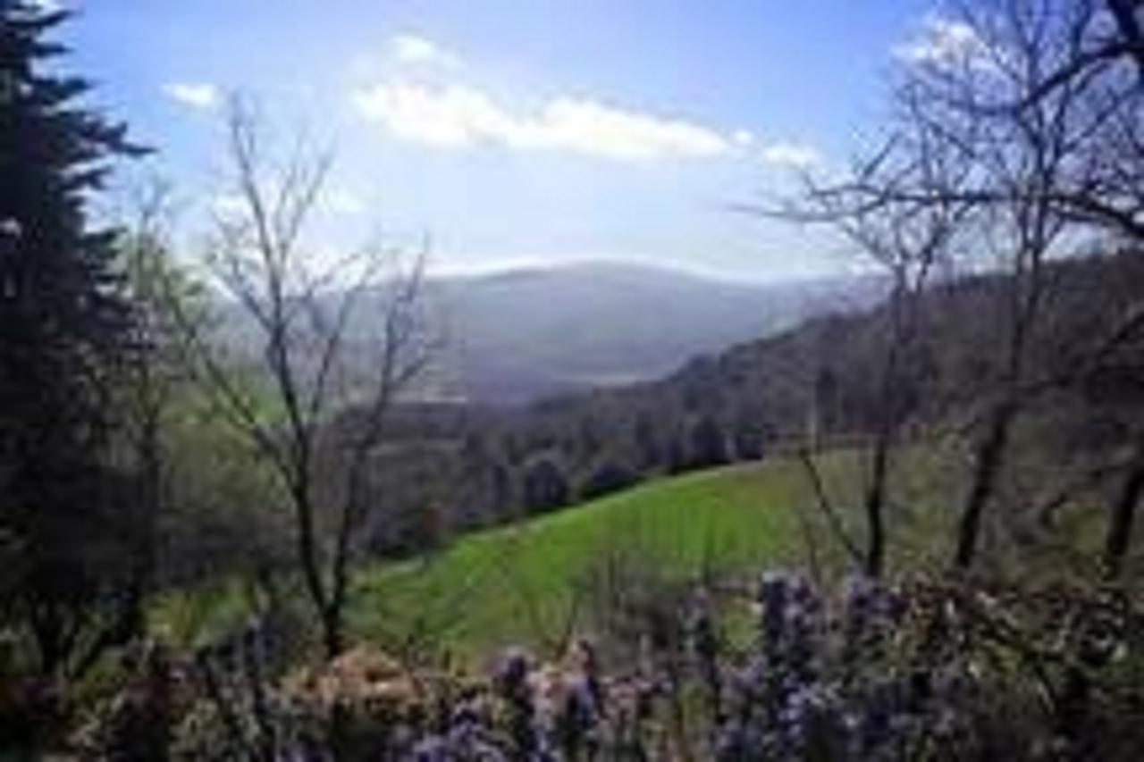 Podere Cerreto Casole dʼElsa Exteriör bild
