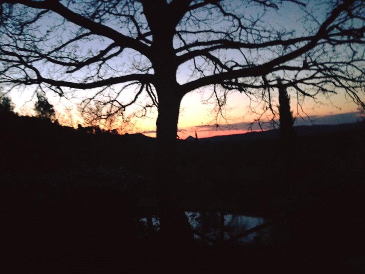 Podere Cerreto Casole dʼElsa Exteriör bild